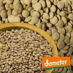 Bild-Grüne-Linsen-Shop