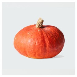 Sunshine-Kabocha