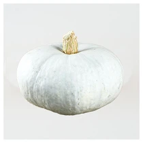 Amish Pie 350x350 web