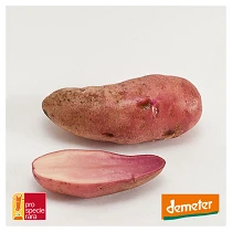 Rote-Emma