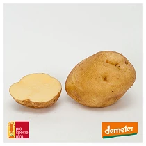 Weisse-Loetschentaler