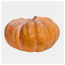Muscat 800x800 web