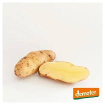 Bamberger-Hoernchen